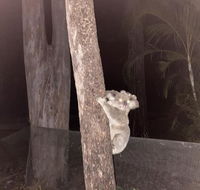 5 mins to Movie world  pet friendly - Dalby Accommodation