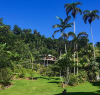 A Daintree Garden - Dalby Accommodation