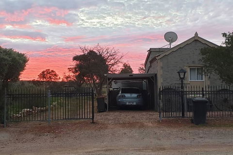 A Real Bush Retreat. Kangas, Emus & Starry Skies. - Dalby Accommodation 1