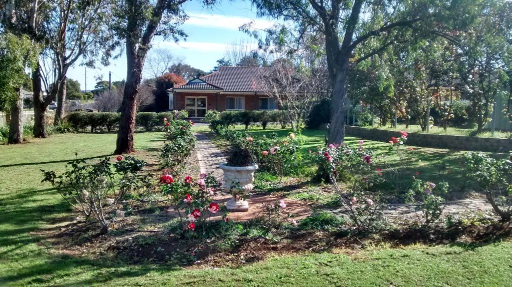Aberdeen NSW Dalby Accommodation
