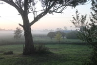 Book Heyfield Accommodation Vacations Dalby Accommodation Dalby Accommodation