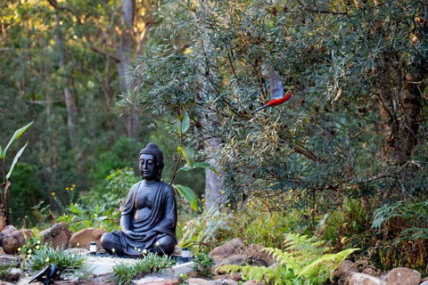 Dorrigo Bush Pepper Retreat - Dalby Accommodation 4