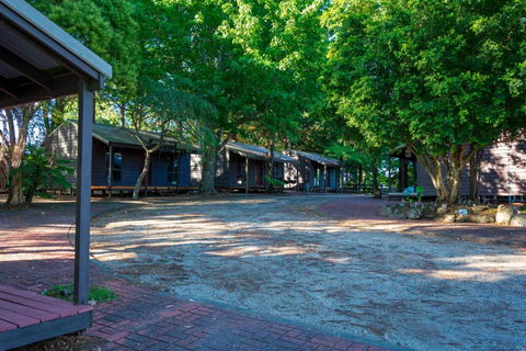 Dorrigo Mountain Holiday Park - Dalby Accommodation 2