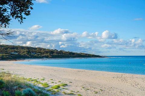 Eagle Bay Summerhaus - Dalby Accommodation 1