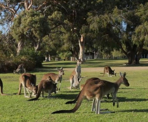 Eastern Hill Creswick - Dalby Accommodation 3