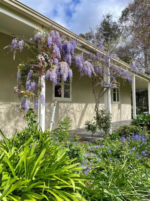 Fleetwood Cottage Bed And Breakfast - Dalby Accommodation 4