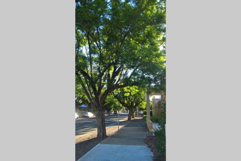 Gawler Heritage Accommodation - Dalby Accommodation 1