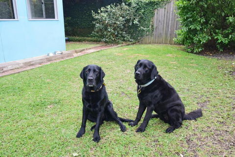 GERR14C - Salty Dog - Dalby Accommodation 3