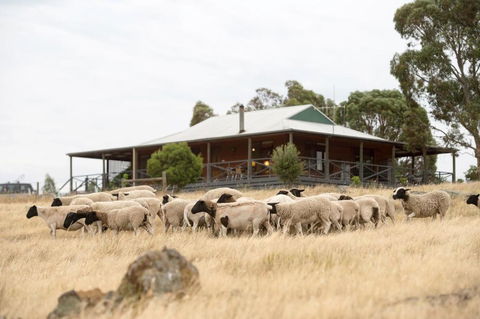 Gilgraves Vineyard Farmstay - Dalby Accommodation 0