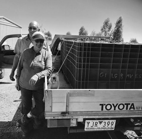 Gilgraves Vineyard Farmstay - Dalby Accommodation 4