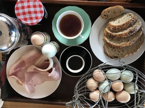 Gilgraves Vineyard Farmstay - Dalby Accommodation 3