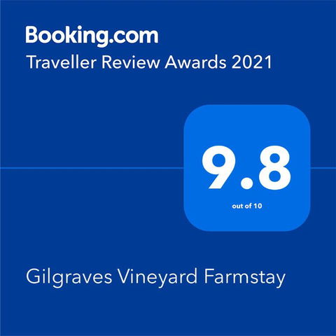 Gilgraves Vineyard Farmstay - Dalby Accommodation 2