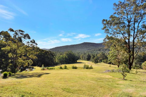 Hunter Valley Kangaroo Retreat With 60 Kangaroos - Dalby Accommodation 1