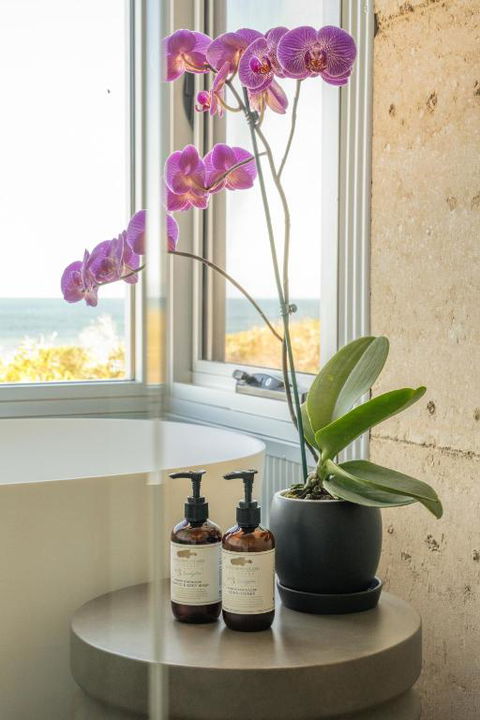 Immerse Kangaroo Island - Dalby Accommodation 2