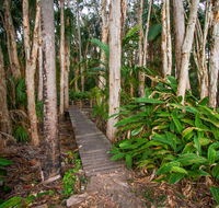 Agnes Palms Accommodation - Dalby Accommodation