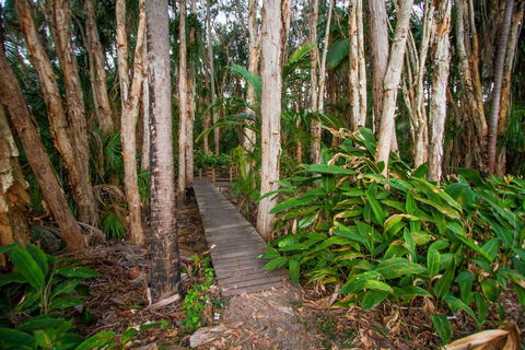 Agnes Palms Accommodation - Dalby Accommodation 0