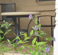 Amalie Cottage Waikerie - Dalby Accommodation