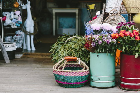 Angel Sussurri - Dalby Accommodation 3