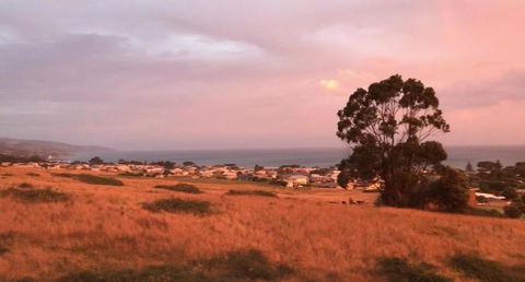 Apollo Panorama Guesthouse - Dalby Accommodation 3