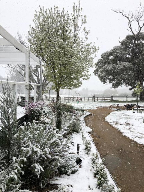 Luxury Accomodation, Farm Stay, Stunning Views Near Daylesford - Dalby Accommodation 1