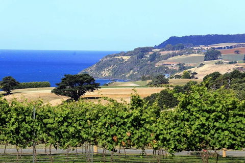 Mallavale Farm, Boat Harbour - Dalby Accommodation 0