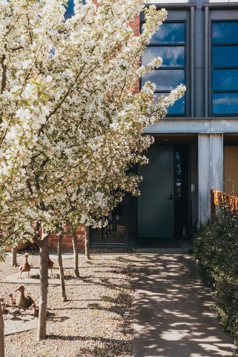 Mews Cottages - Dalby Accommodation 2