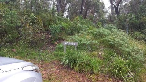 Mountain Tranquility - Dalby Accommodation 3