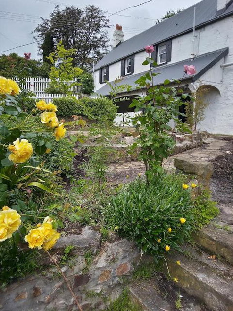 Old Colony Inn - Dalby Accommodation 1