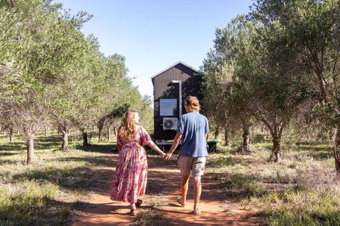 Olive Grove Retreat 2 By Tiny Away - Dalby Accommodation 1