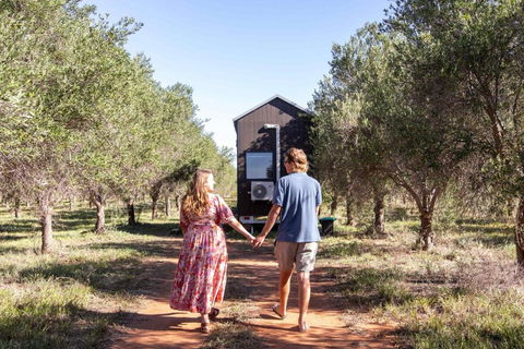 Olive Grove Retreat 2 By Tiny Away - Dalby Accommodation 0