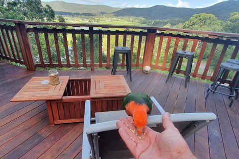 Paterson Skywalk - Dalby Accommodation 3