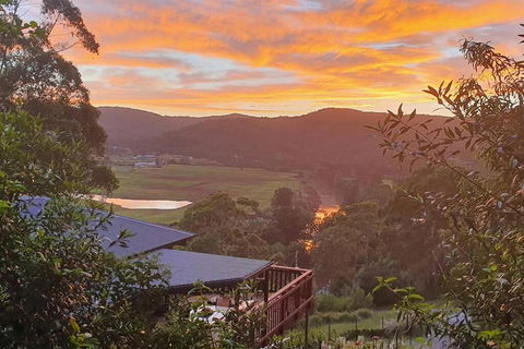 Paterson Skywalk - Dalby Accommodation 0
