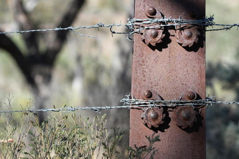 Pichi Richi Park - Dalby Accommodation 3