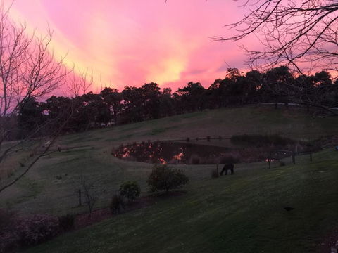 Raynella Alpaca Farmstay - Dalby Accommodation 3