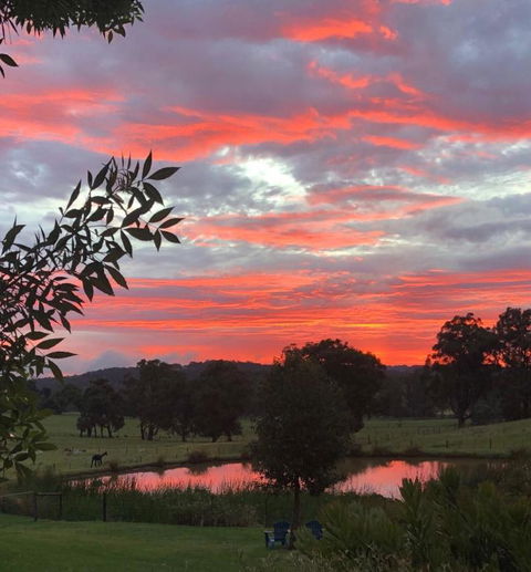 Raynella Alpaca Farmstay - Dalby Accommodation 2