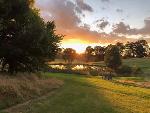 Raynella Alpaca Farmstay - Dalby Accommodation 1