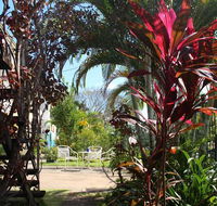 Asylum Cairns Hostel - Dalby Accommodation