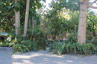 Book Macclesfield Accommodation Vacations Dalby Accommodation Dalby Accommodation
