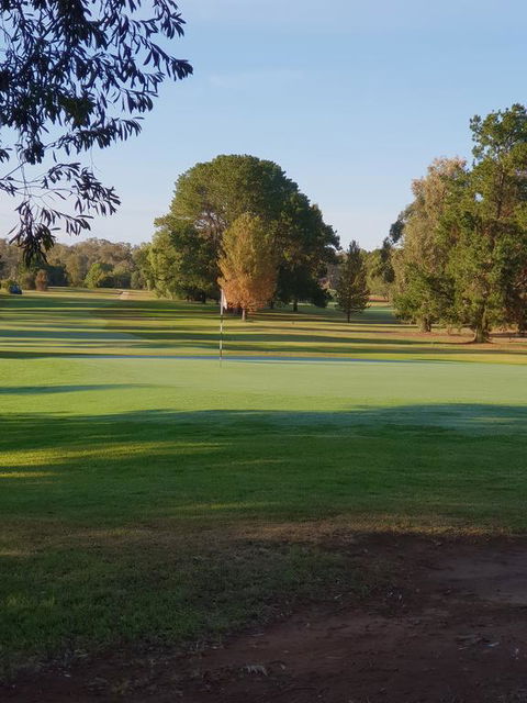 Barooga Golf View Motel - Dalby Accommodation 2