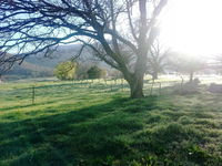 Book Mongans Bridge Accommodation Vacations Dalby Accommodation Dalby Accommodation