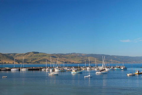 BAY VUE - Top Floor Apartment, Amazing Views! - Dalby Accommodation 2