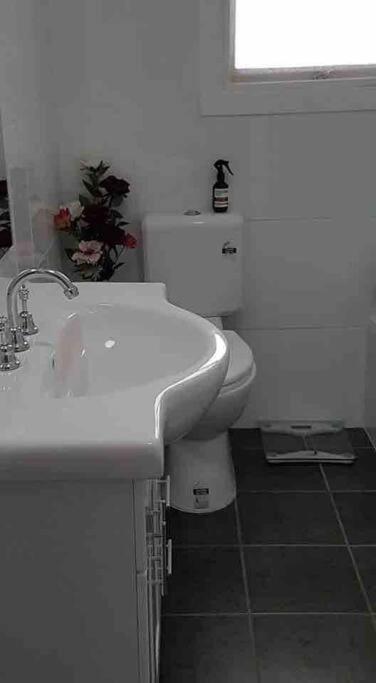 Riverview Place - Dalby Accommodation 3