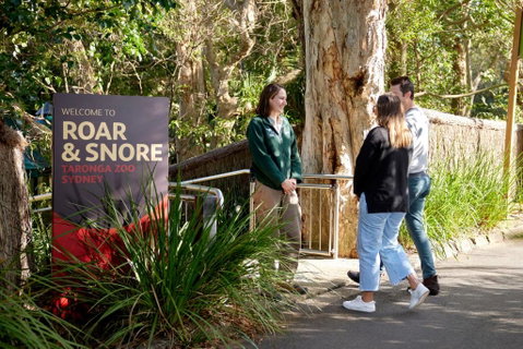 Roar And Snore - Dalby Accommodation 1