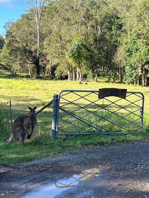 Rural Self Contained 3 Bedroom Cottage On Acreage, - Dalby Accommodation 2