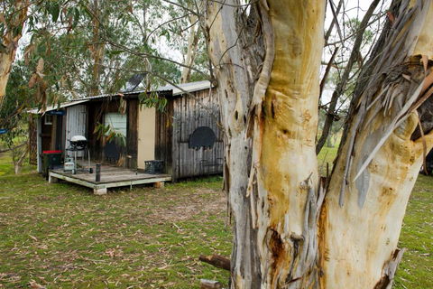 Rustic Cabin With Moon Bathing For A City Escape - Dalby Accommodation 0
