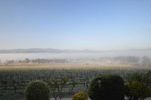 Sancerre Estate - Dalby Accommodation 3