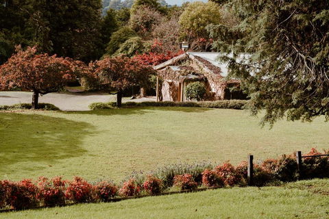 The Cherry Blossom Suite - Dalby Accommodation 3