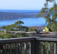 Bed in the Treetops BB - Dalby Accommodation