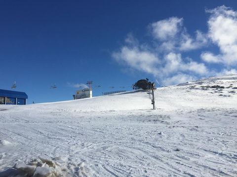 Beehive 18 - Dalby Accommodation 2
