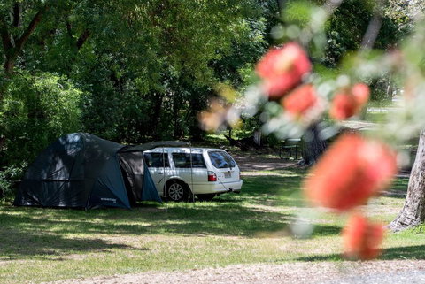 Belair National Park Holiday Park - Dalby Accommodation 0